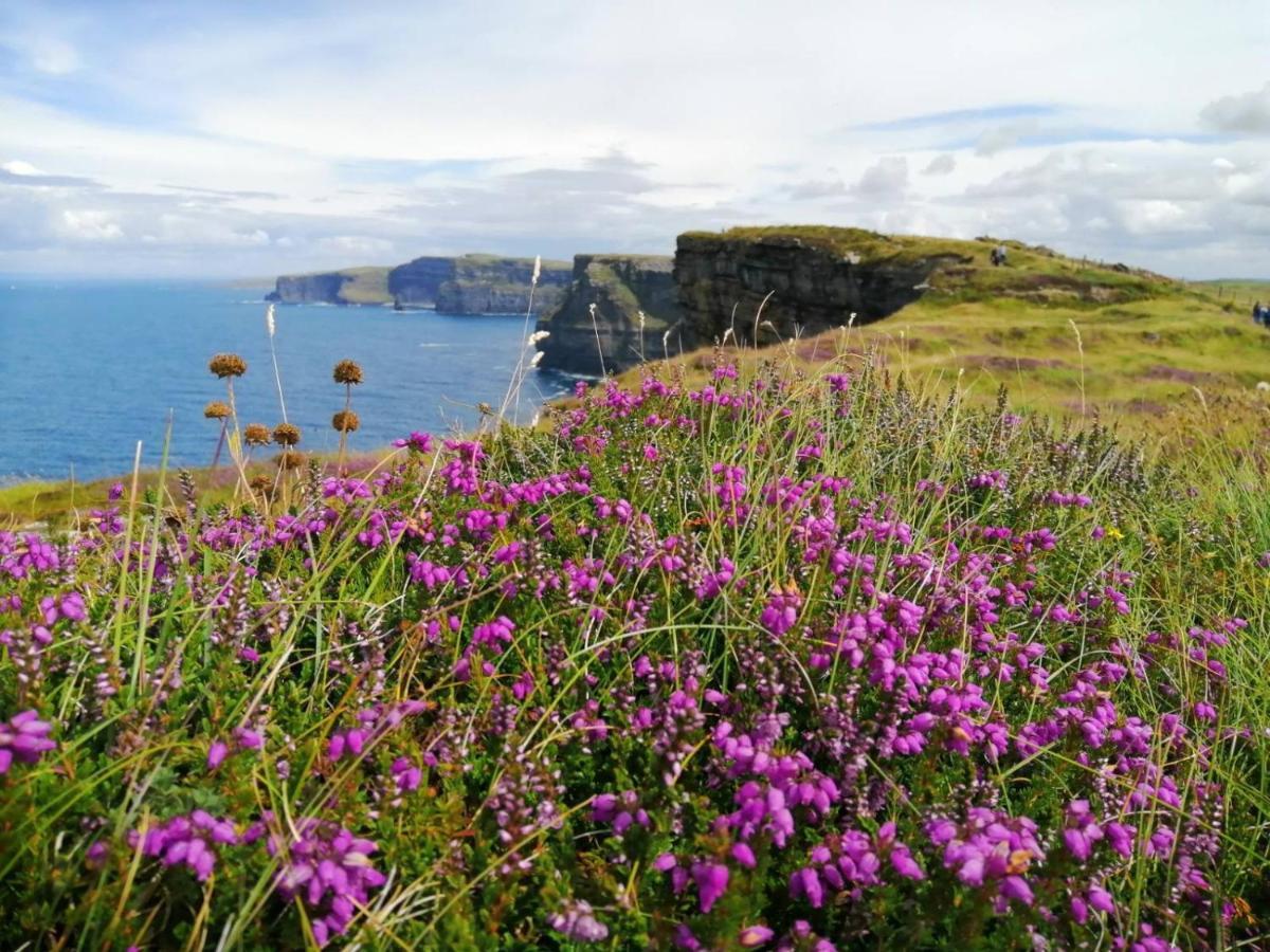 Puffin Rooms Lisdoonvarna Kültér fotó