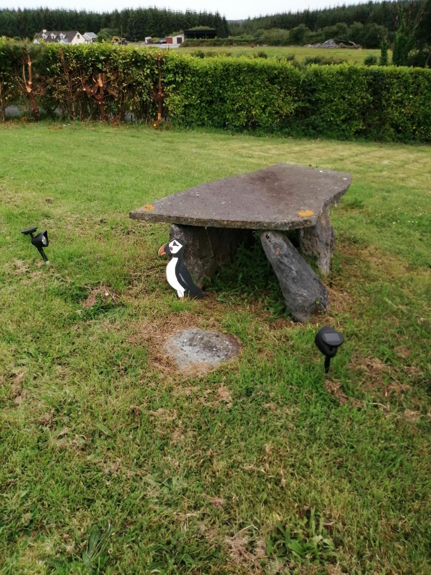 Puffin Rooms Lisdoonvarna Kültér fotó