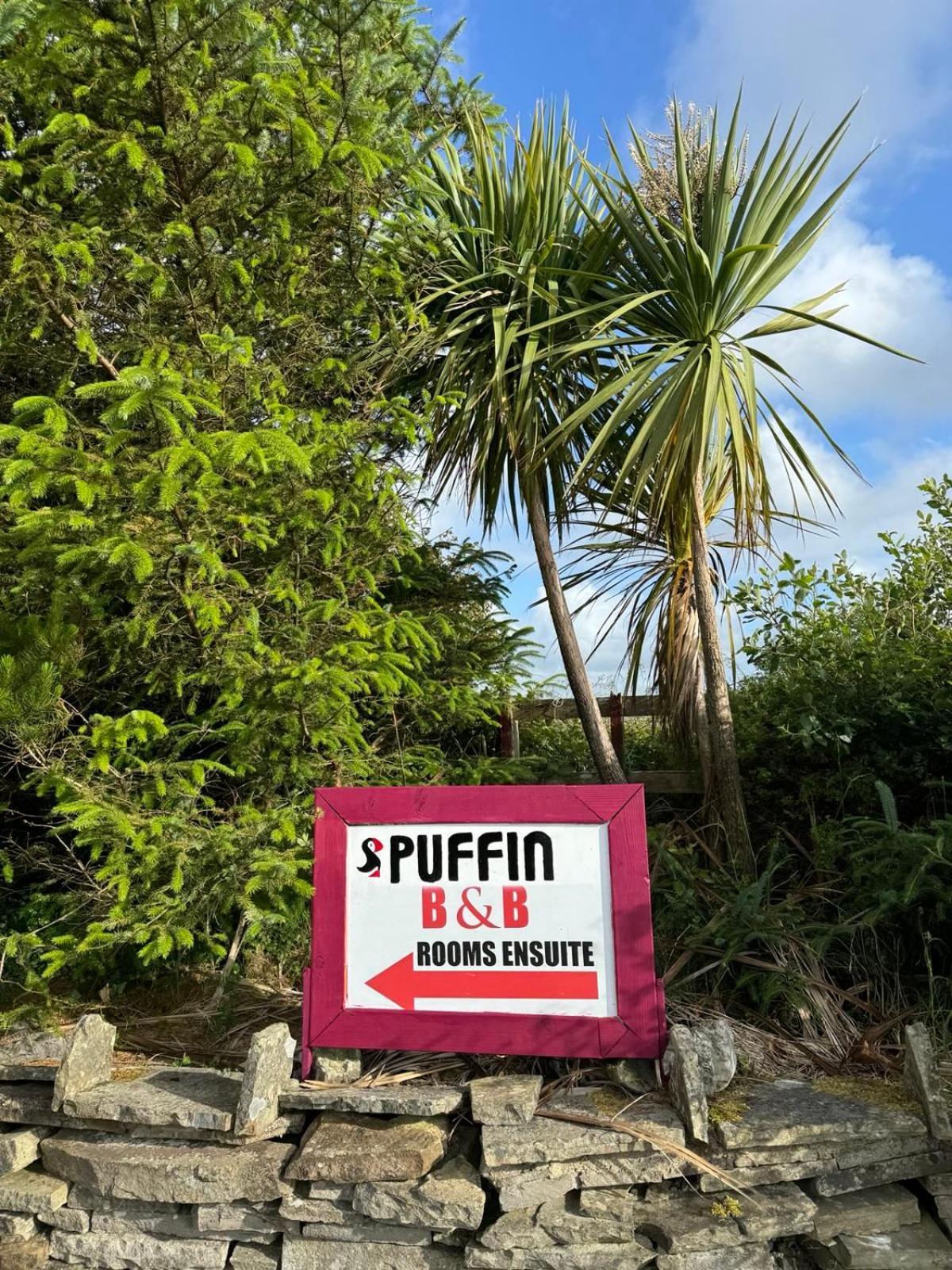 Puffin Rooms Lisdoonvarna Kültér fotó